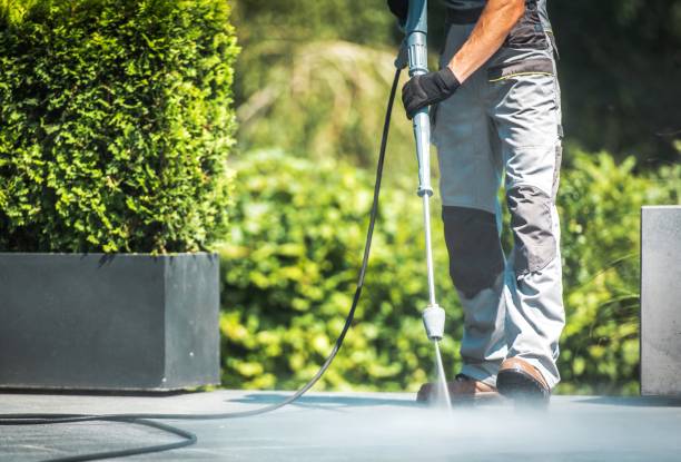 Best Driveway Pressure Washing  in West Hollywood, CA